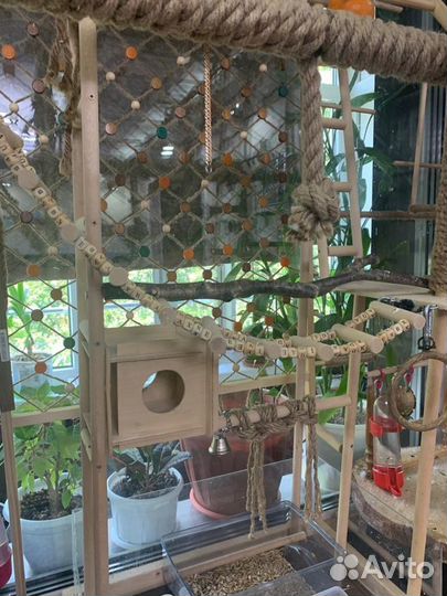 Стенд для попугая