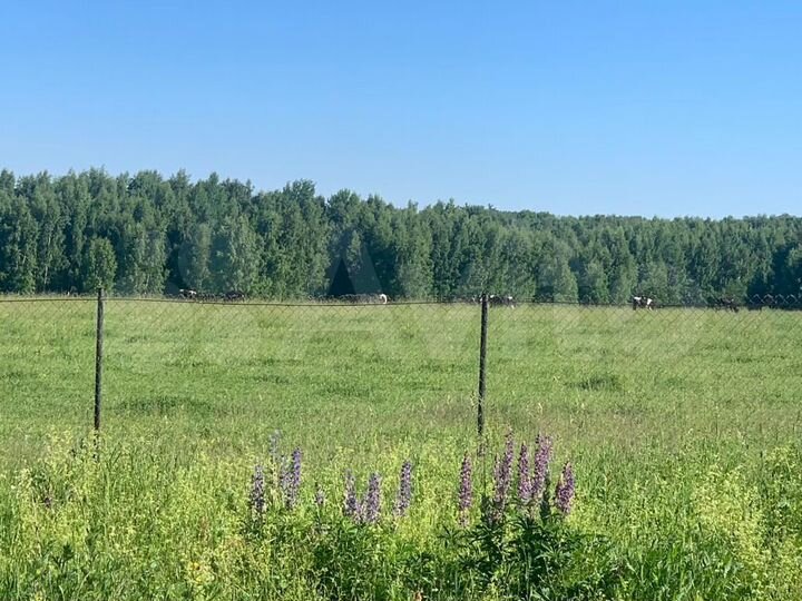 Участок 6,2 га (СНТ, ДНП)