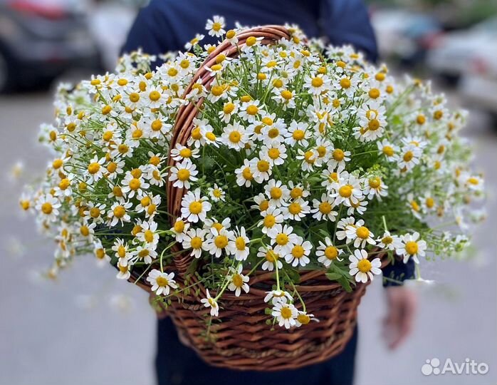 Полевые цветы в корзине