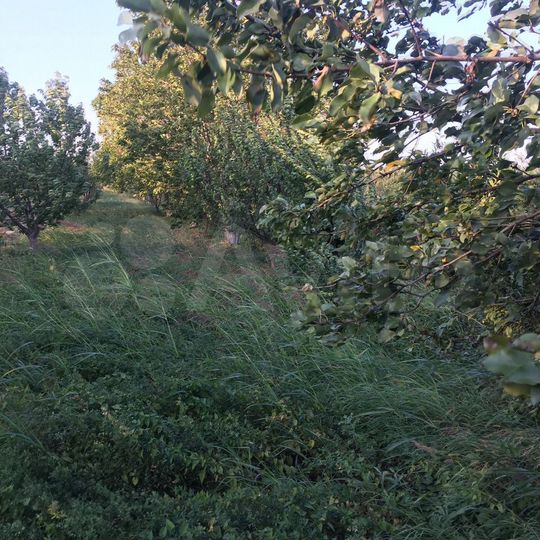 Участок 2 га (СНТ, ДНП)