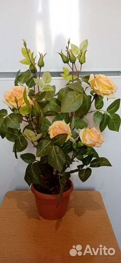 Новые цветы в горшочке - розы, 2 вазы - новые