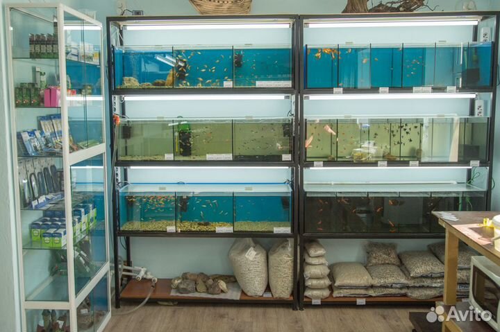 Аквариумные рыбки и корма