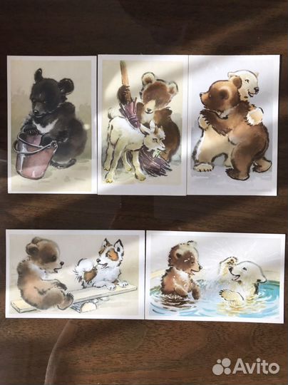Лот книга ссср+Набор открыток 1971Молодняк в зооп