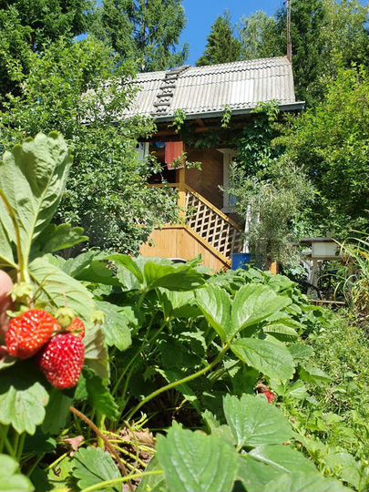 Дом 75 м² на участке 6 сот.