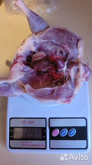 Ия перепелов