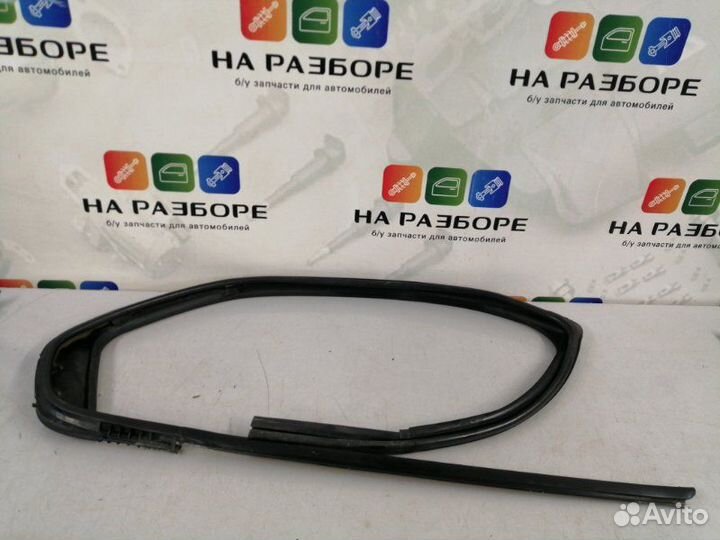Уплотнительная резинка стекла двери задняя правая