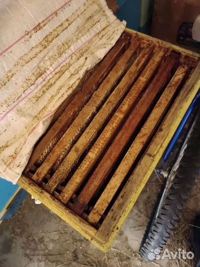 Улей для пчел