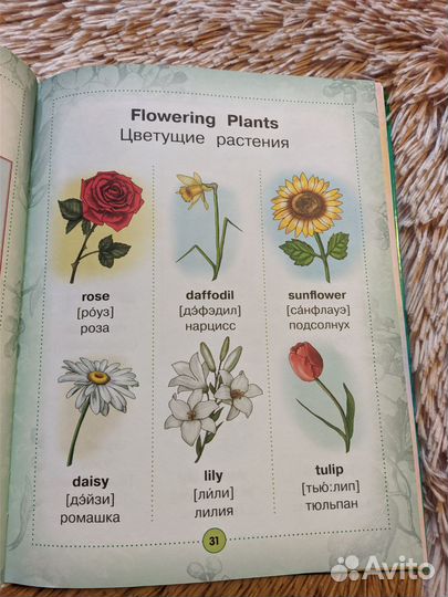 Англо-русский визуальный словарь