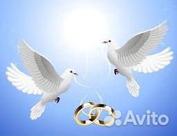 Голуби на свадьбу и мероприятия