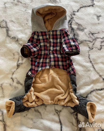 Одежда для собак