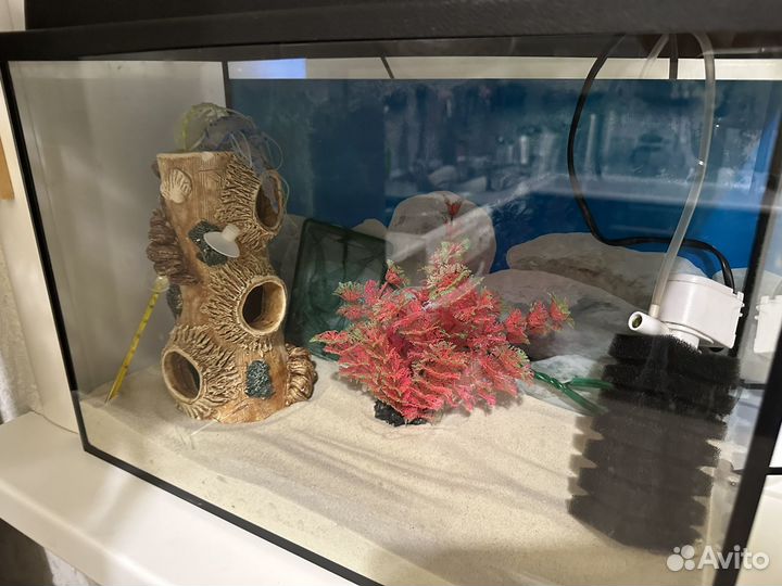 Аквариум