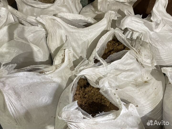 Пивная дробина