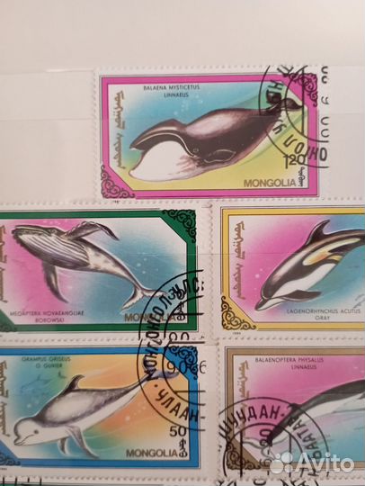 Почтовые марки СССР Монголия 1990 г набор 7 шт