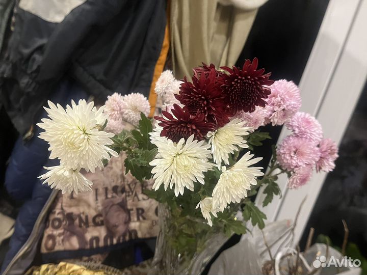 Хризантемы и сентябрины