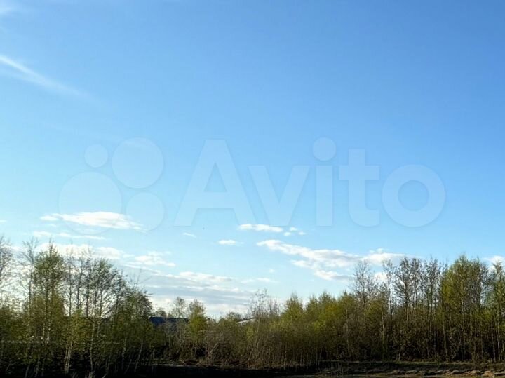 Участок 5 сот. (СНТ, ДНП)