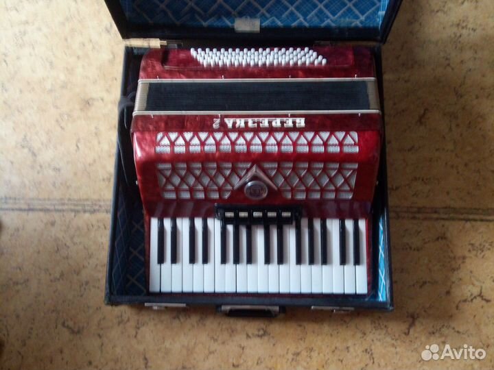 Аккордеон Берёзка 2