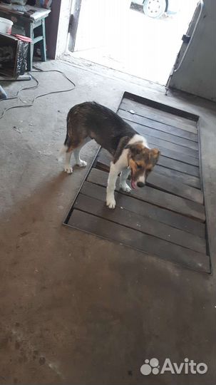 Штатная акустика Mitsubishi Outlander