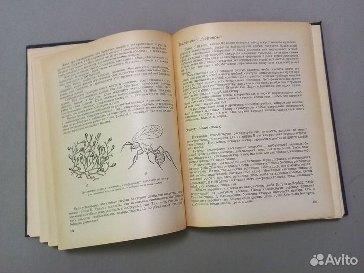 Путешествие в страну микробов