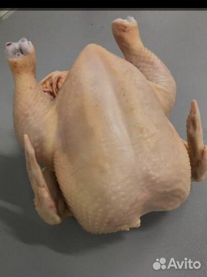 Куры бройлеры мясо