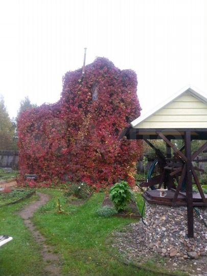 Дача 43 м² на участке 12 сот.