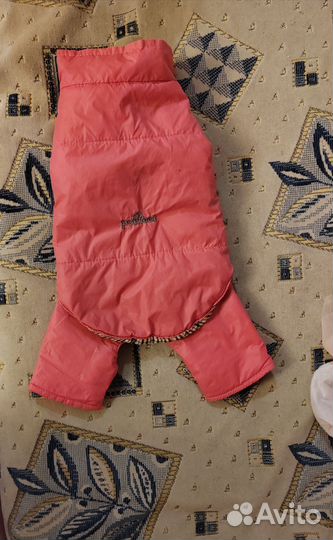 Одежда для маленьких собак пакетом