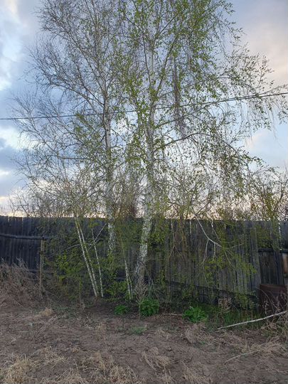 Участок 7,8 сот. (СНТ, ДНП)