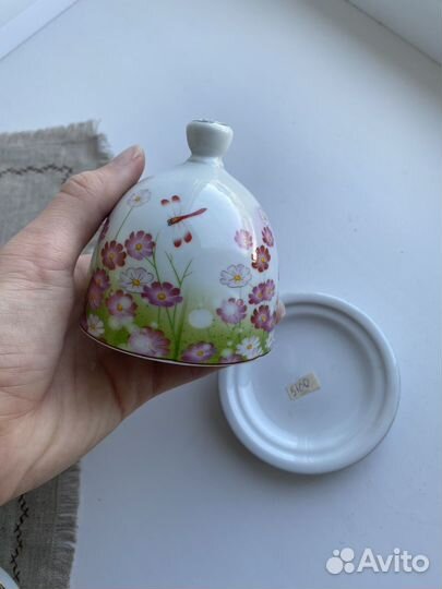 Лимонница новая