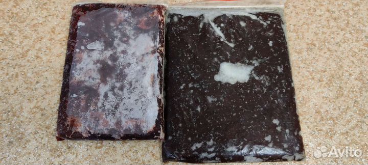 Корм для аквариумных рыбок