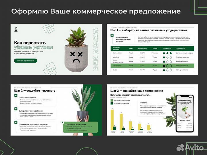 Презентация в Power Point