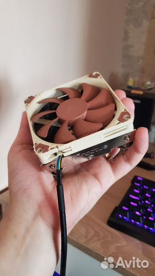 Noctua nh-9i под intel