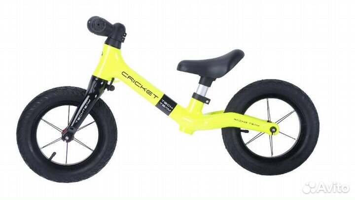 Tech Team Cricket 12