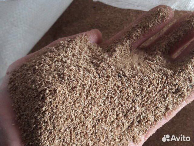 Барда кормовая