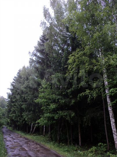 Участок 13 сот. (СНТ, ДНП)