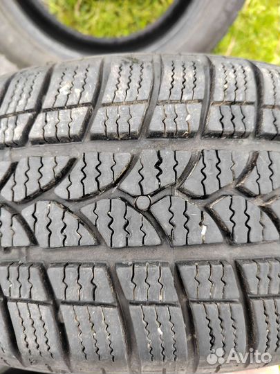 Tigar Winter 1 195/55 R15 85H