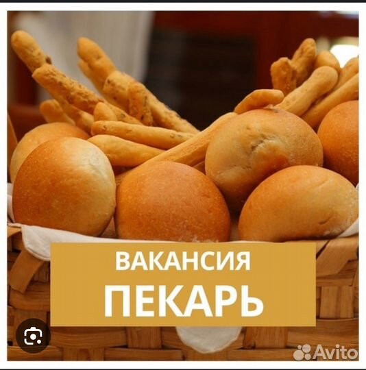 Пекарь