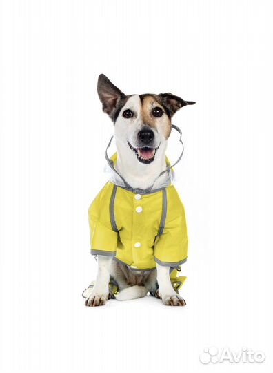 Одежда для собак дождевик