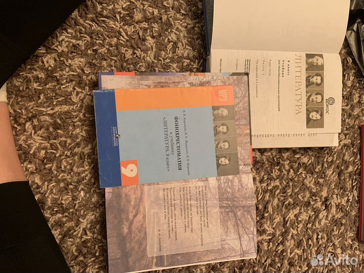 Учебник по литературе 9 класс(1я и 2я части)