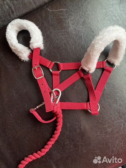 Вальтрап для лошади, недоуздок, бинты, ногавки