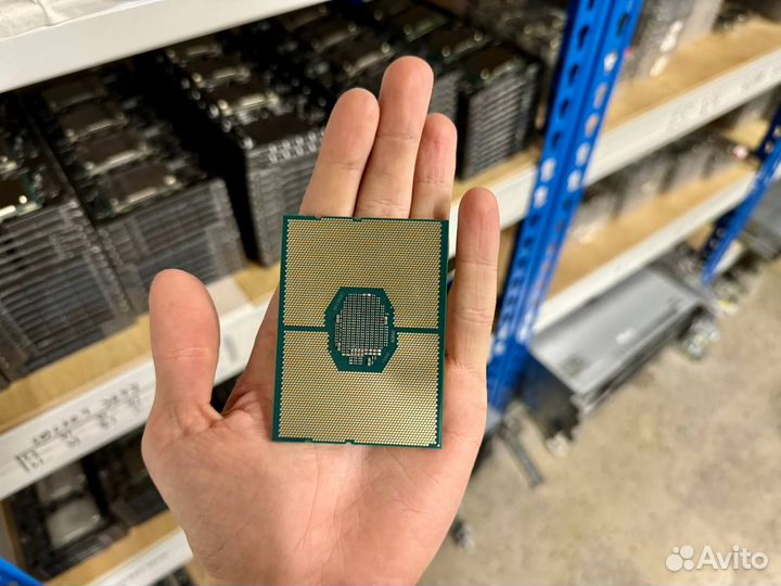 Процессор Intel Xeon Gold 6244 3.6GHz-4.4GHz 8/16