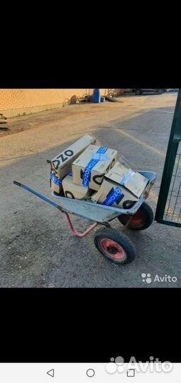 Приютским собакам нужна помощь