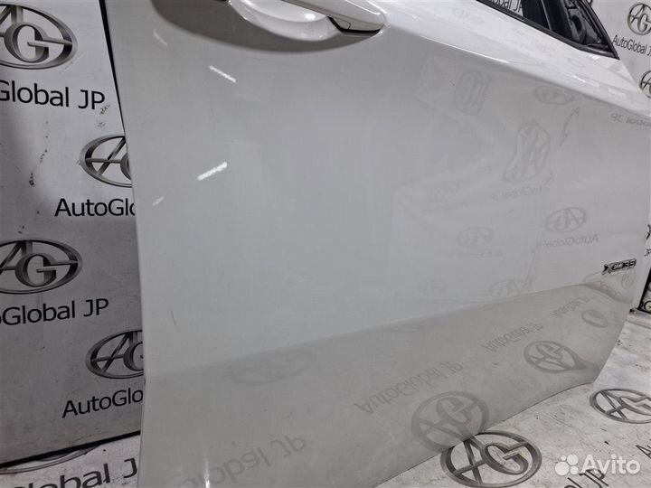 Дверь передняя правая Bmw X6 E71 N55B30A 2010