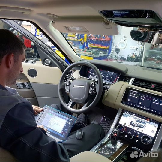 Выездная диагностика Range Rover phev Autobiography
