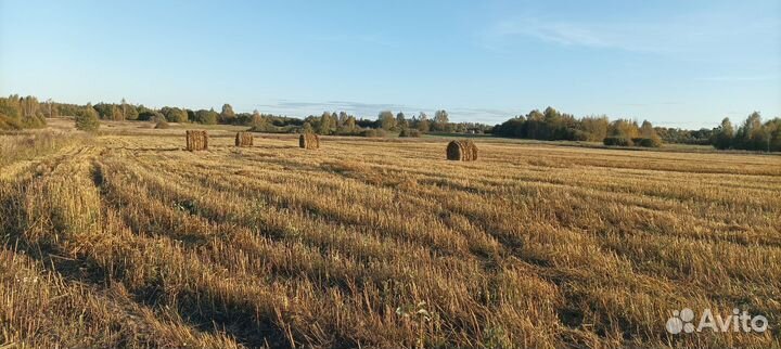 Солома в рулонах