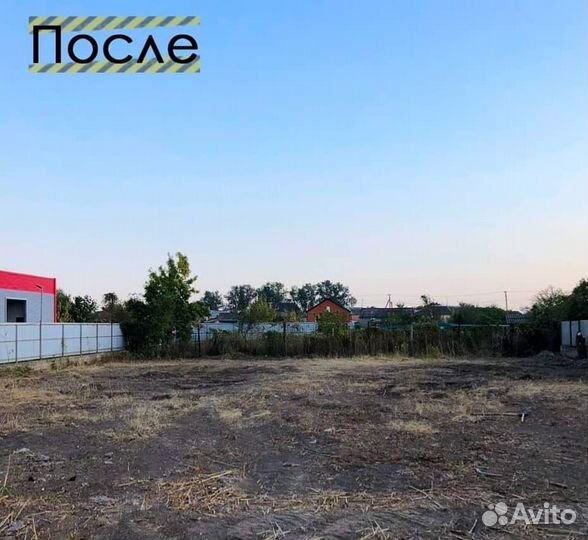 Расчистка участка. Спил деревьев. Вывоз мусора