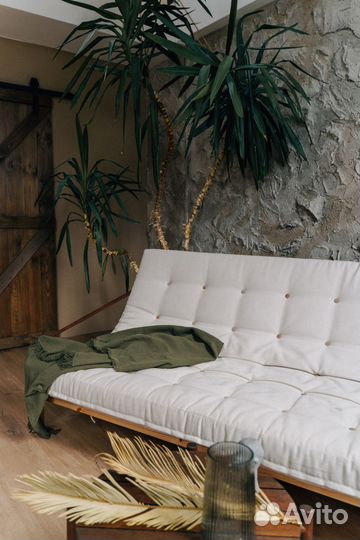 Пальма Юкка