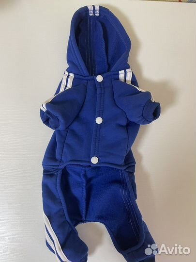 Одежда на собачку