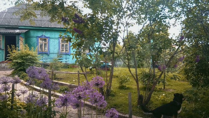 Дача 48 м² на участке 20 сот.