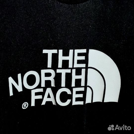 Футболка мужская The North Face Оригинал Вig Lоgo