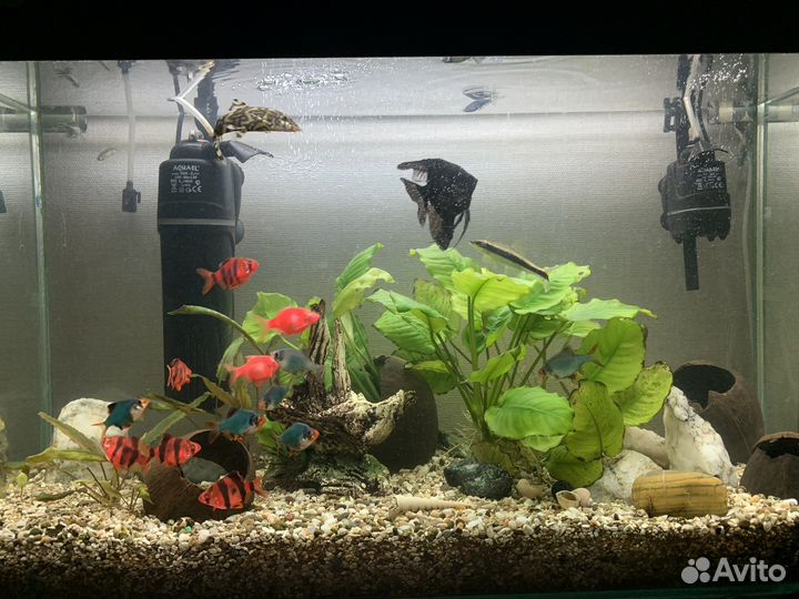 Аквариум
