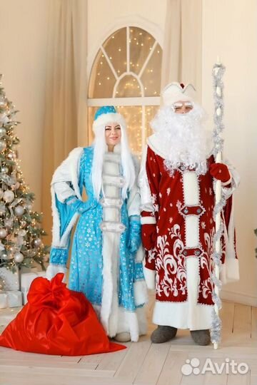 Дед мороз на дом